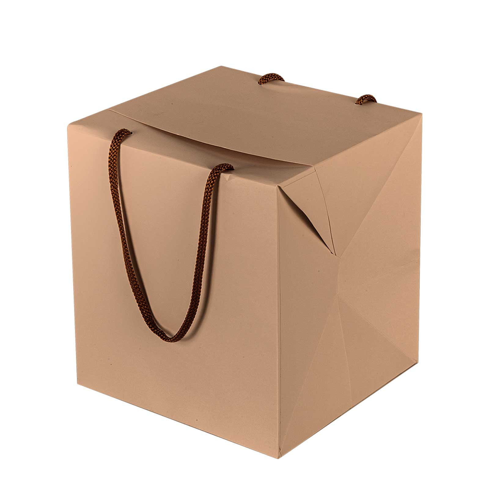 Bag box portapanettone con manici