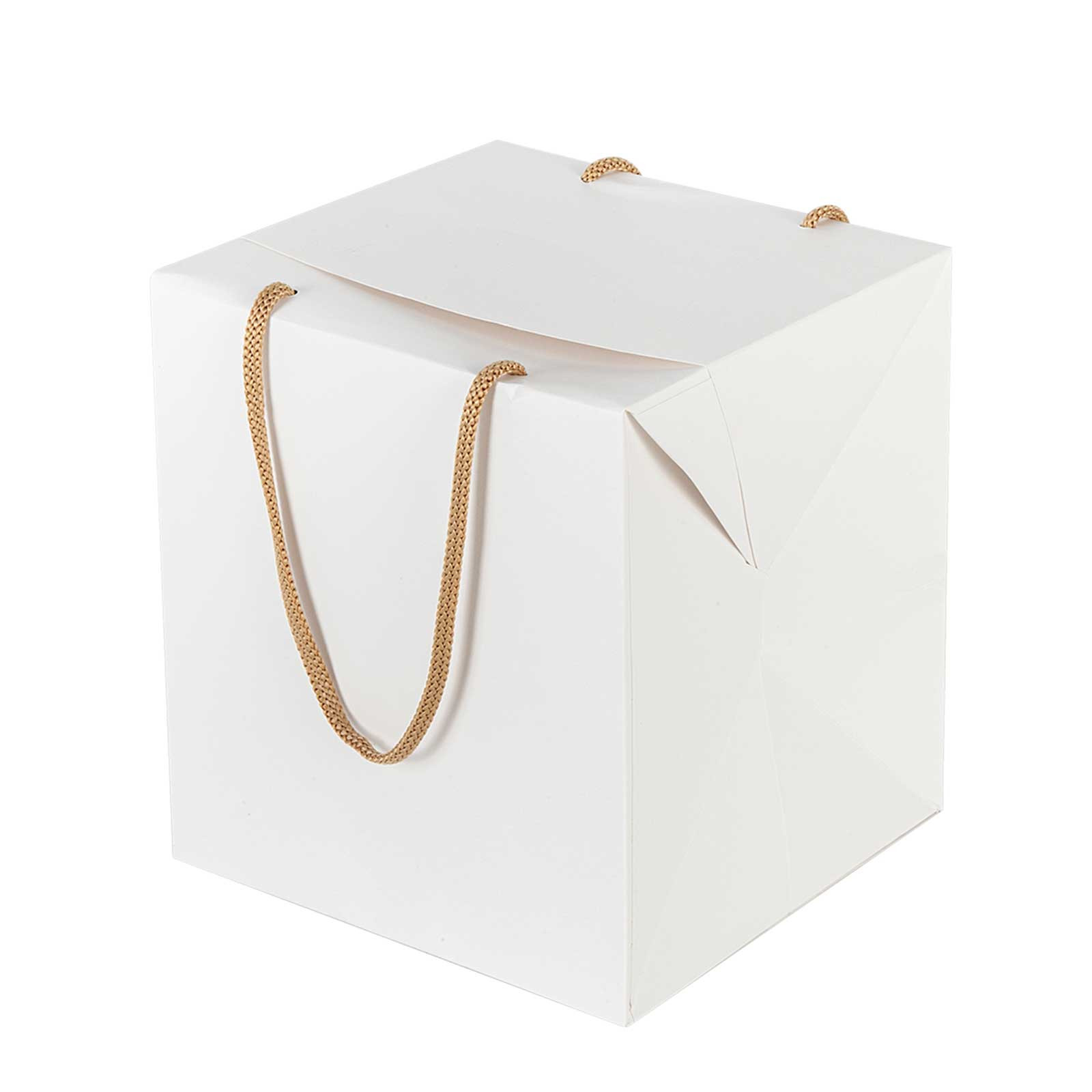 Bag box portapanettone con manici